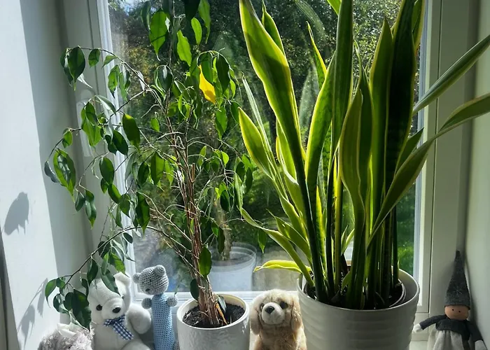 Leete Residence- 5br Elegant Family With Huge Garden&free Parking *